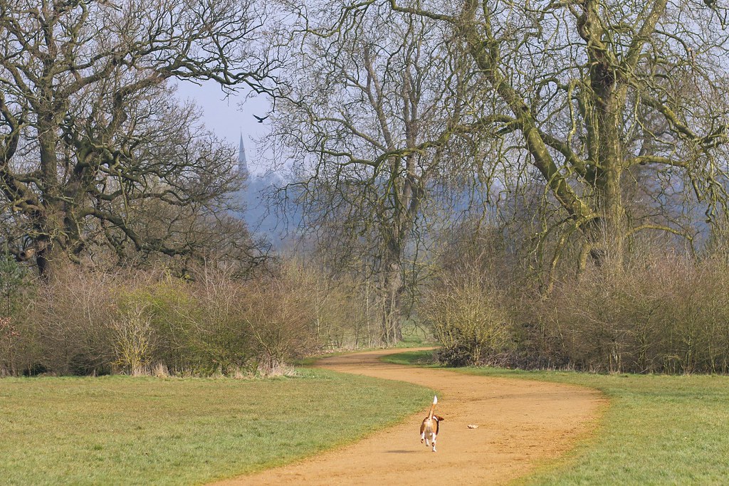 A soft, blurred view of the hallway in late afternoon light.