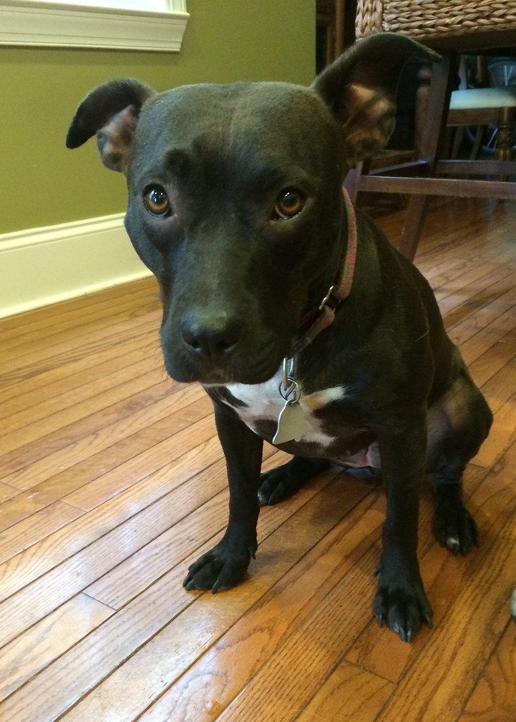 personal story scene