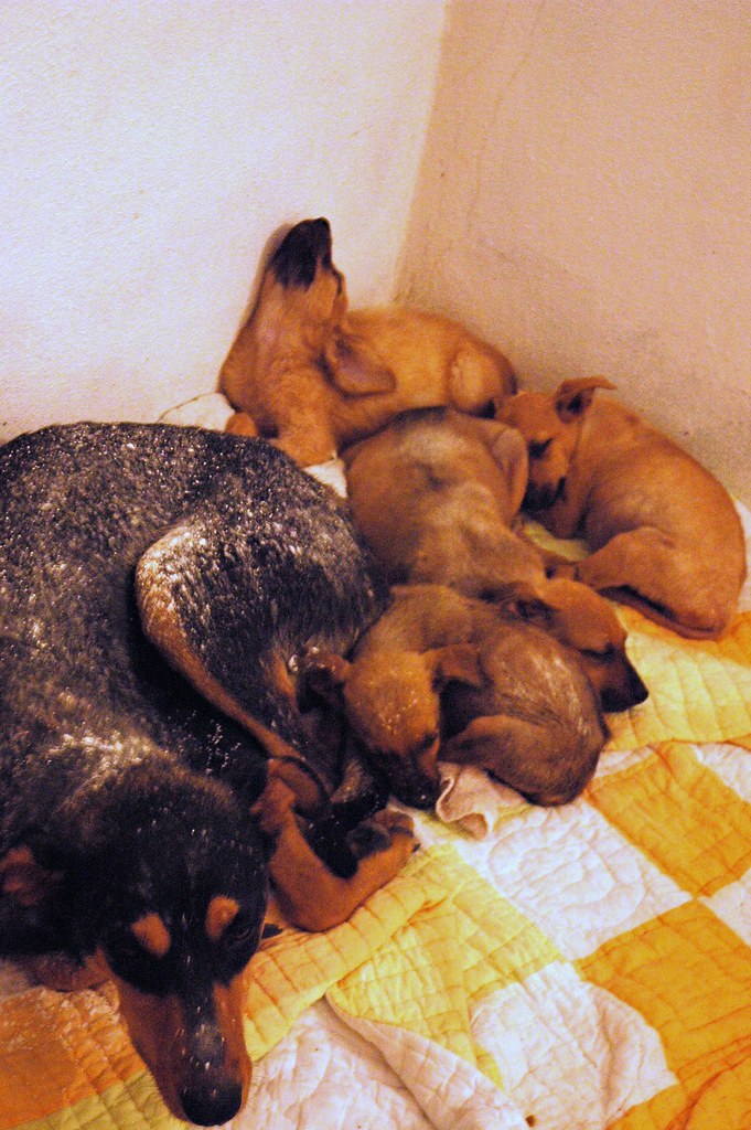 personal story scene