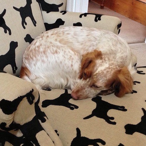 personal story scene