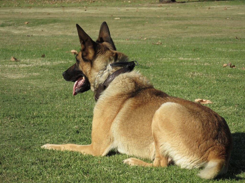 personal story scene