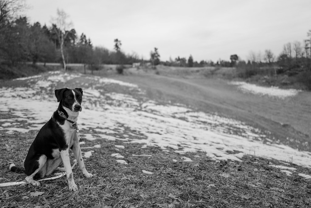 personal story scene