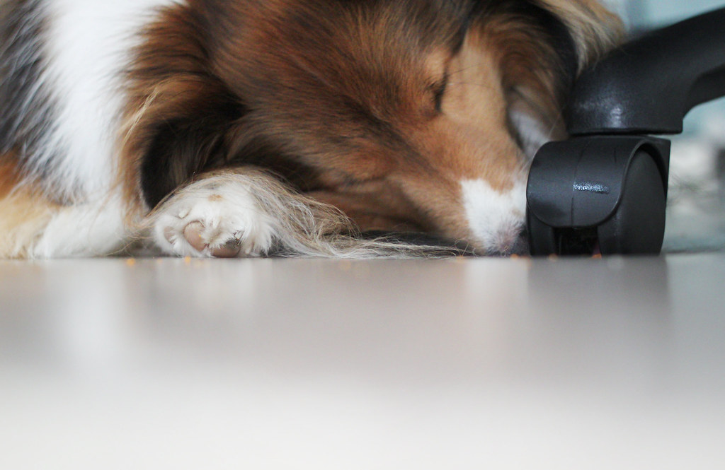 personal story scene