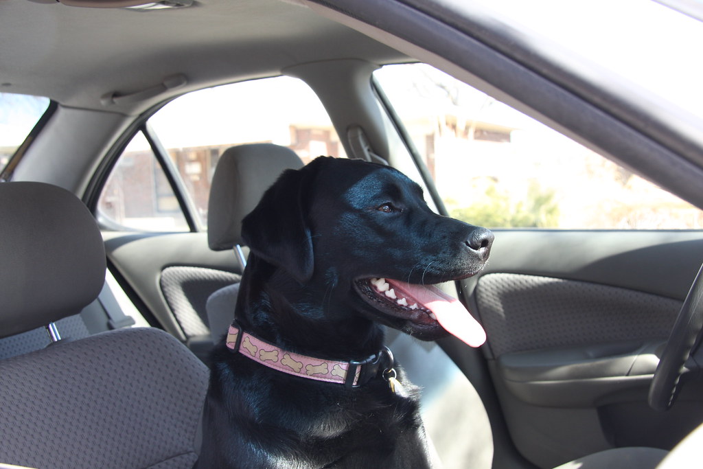 personal story scene